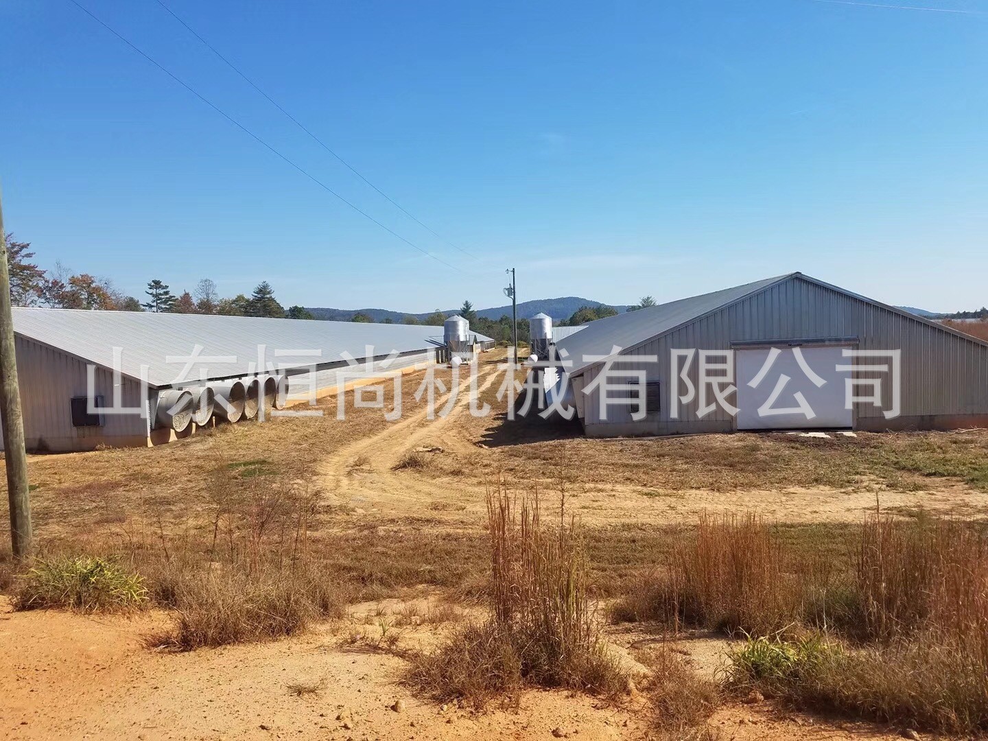 养鸡设备全自动料线 饮水线料线肉鸡平养料盘式喂料线养殖厂图2