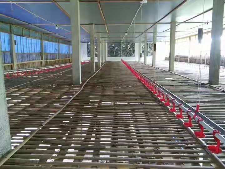 养鸡设备全自动料线 饮水线料线肉鸡平养料盘式喂料线养殖厂图3