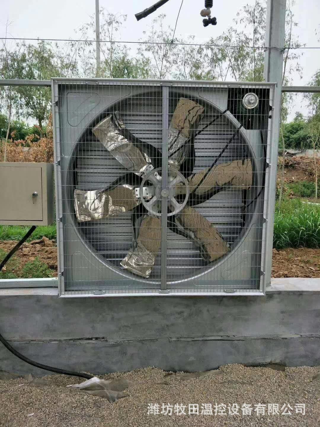 畜牧负压风机玻璃钢排风扇鸡舍散热风机猪舍大风扇图3