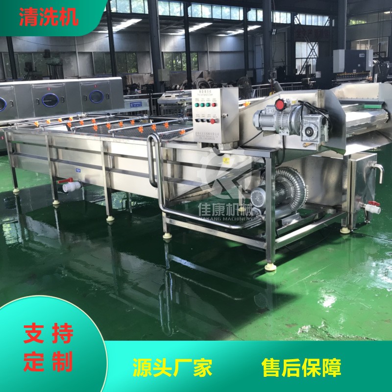 全自动气泡清洗机 不锈钢喷淋式辣椒清洗机 多功能去泥沙净菜设备图3