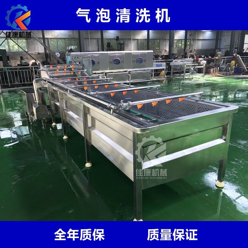 商用蔬菜清洗机 大型不锈钢气泡清洗机 全自动高压喷淋式洗菜机图2