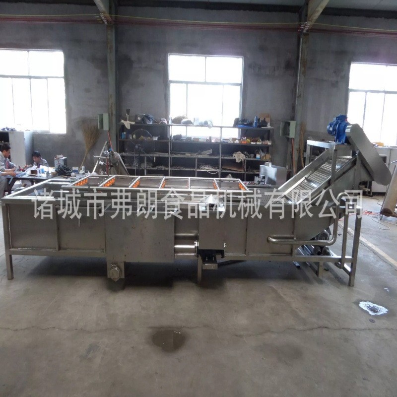 高压喷淋清洗机 辣椒气泡清洗机 龙眼荔枝气泡清洗机圣女果清洗机图2