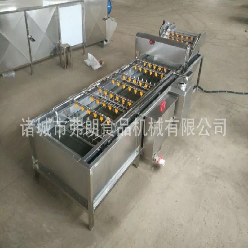 不锈钢果蔬清洗设备厂家 海鲜臭氧清洗机 气泡喷淋式蔬菜清洗机图2