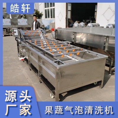 全自动果蔬蔬菜清洗机 气泡式喷淋豆角萝卜清洗机 洗菜机设备