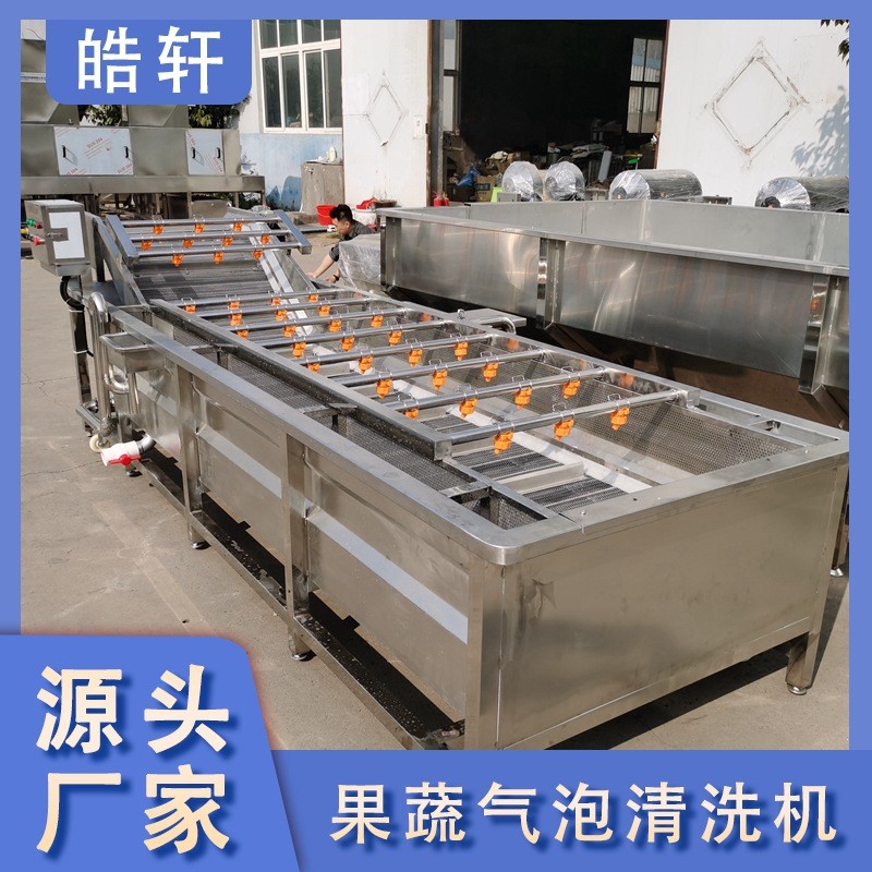全自动果蔬蔬菜清洗机 气泡式喷淋豆角萝卜清洗机 洗菜机设备图2