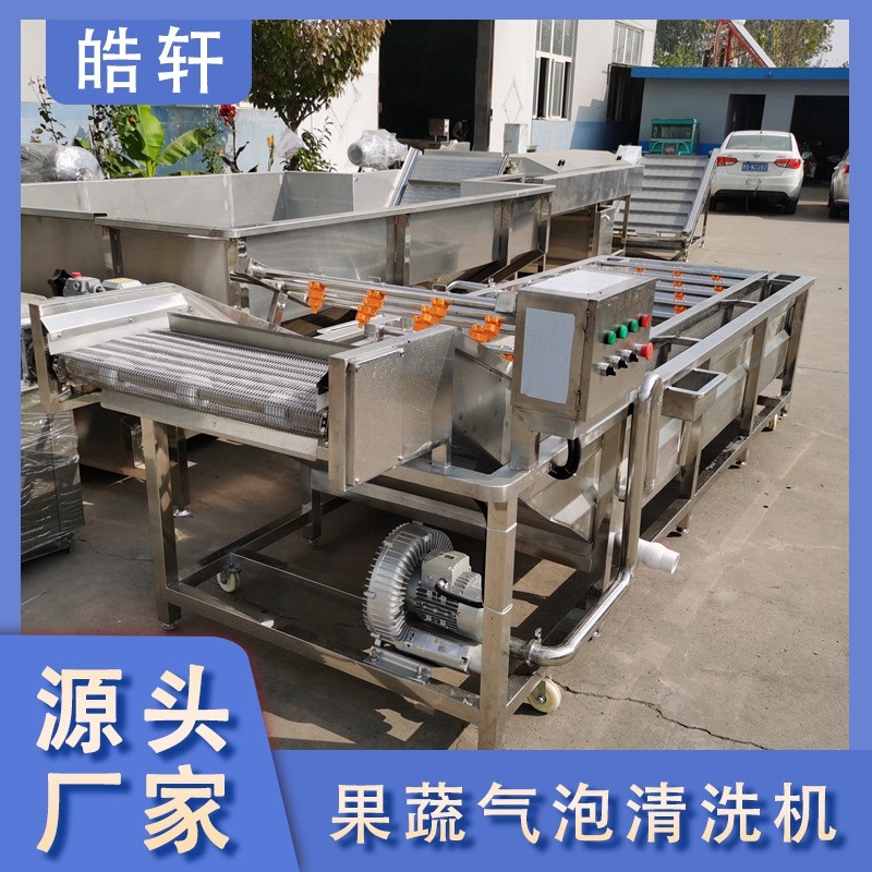 全自动果蔬蔬菜清洗机 气泡式喷淋豆角萝卜清洗机 洗菜机设备图5
