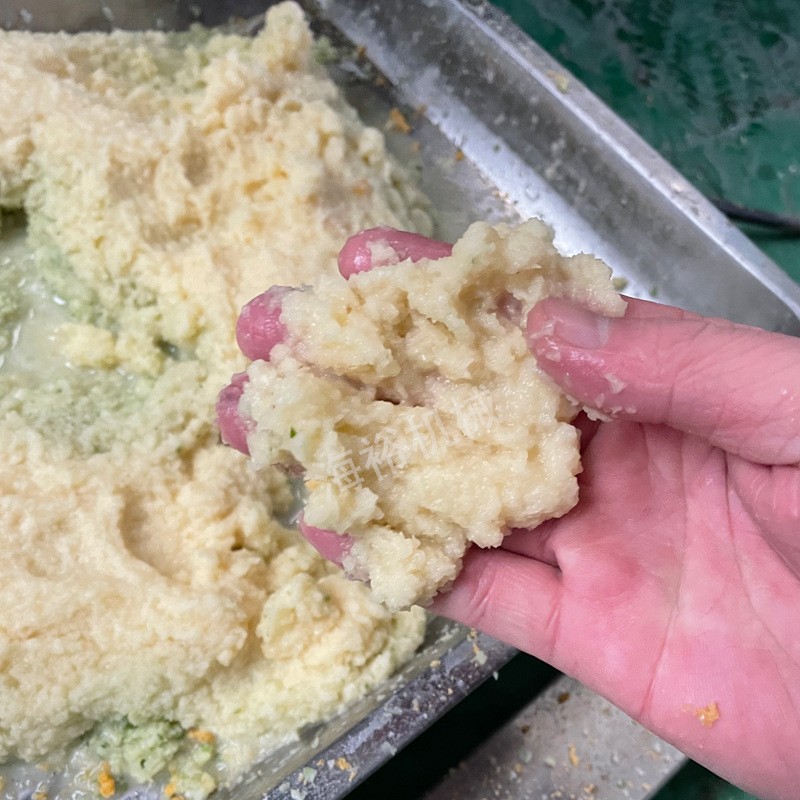 商用白菜萝卜生姜高速打碎机 连续果蔬破碎机械 土豆火龙果打浆机图2