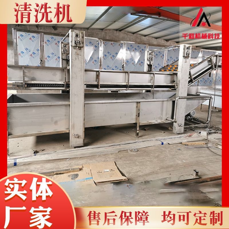 山野菜气泡清洗机 酱菜蔬菜清洗机设备 椰枣大枣气泡清洗机设备图2