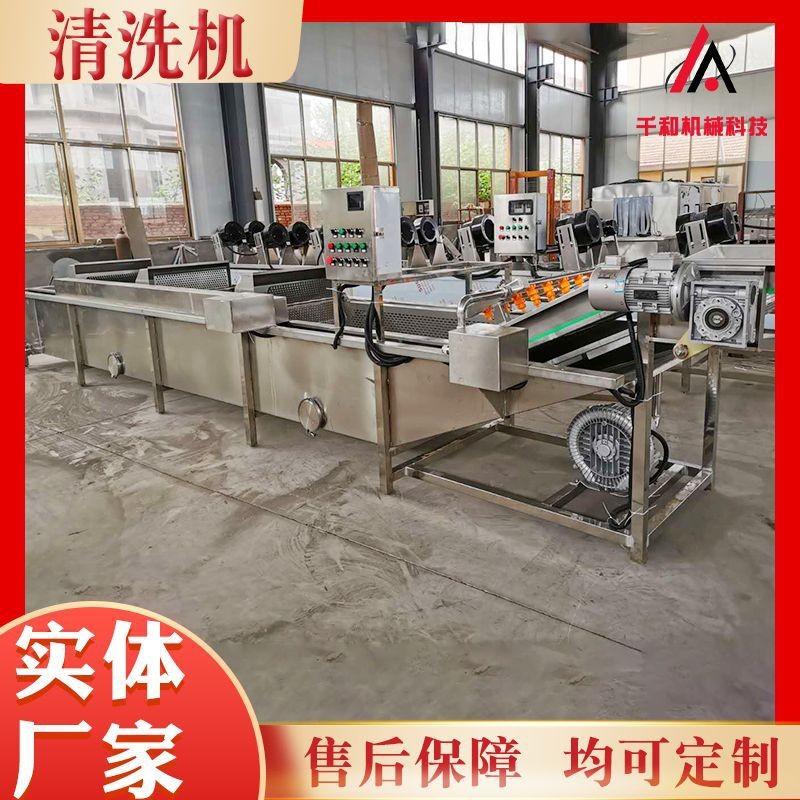 山野菜气泡清洗机 酱菜蔬菜清洗机设备 椰枣大枣气泡清洗机设备图3