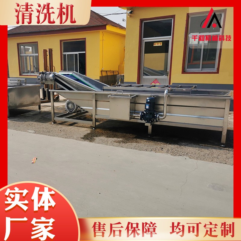 气泡清洗机厂家定做 清洗机设备流水线 黄瓜蔬菜加工整套清洗设备图3