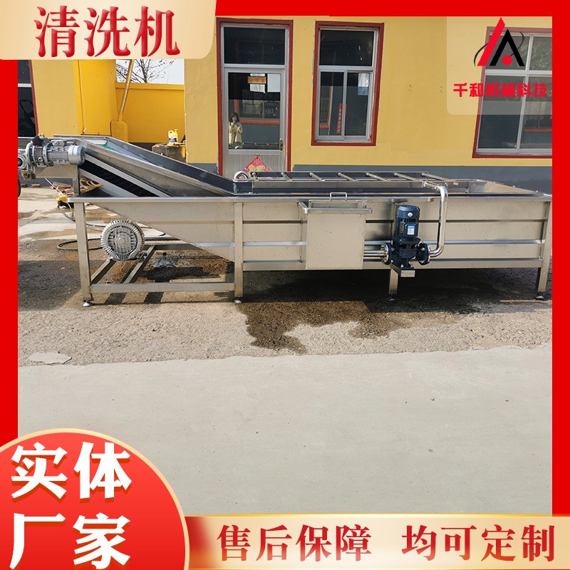 蔬果清洗加工流水线 气泡翻浪洗果机厂家 白菜酸菜洗菜机成套机器图3