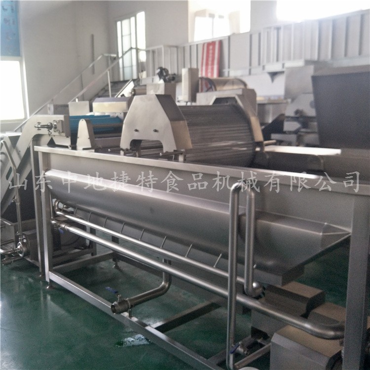 商用大型厨房蕨菜清洗机 净菜处理设备 鲜辣椒水果蔬菜涡流清洗机图2