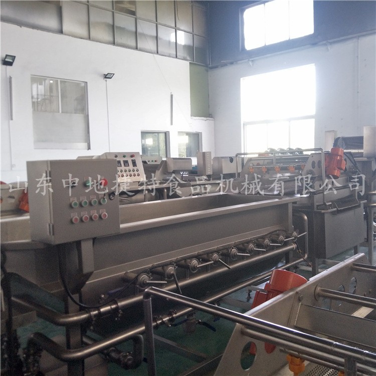 商用大型厨房蕨菜清洗机 净菜处理设备 鲜辣椒水果蔬菜涡流清洗机图3