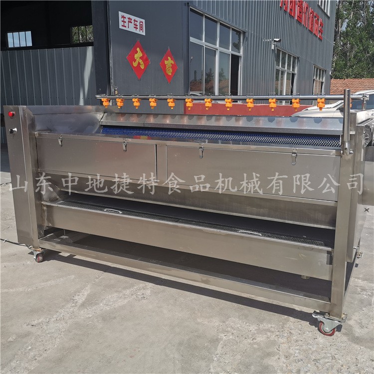 热销特卖土豆地瓜清洗设备莲藕去泥清洗加工全自动果蔬毛刷清洗机图3