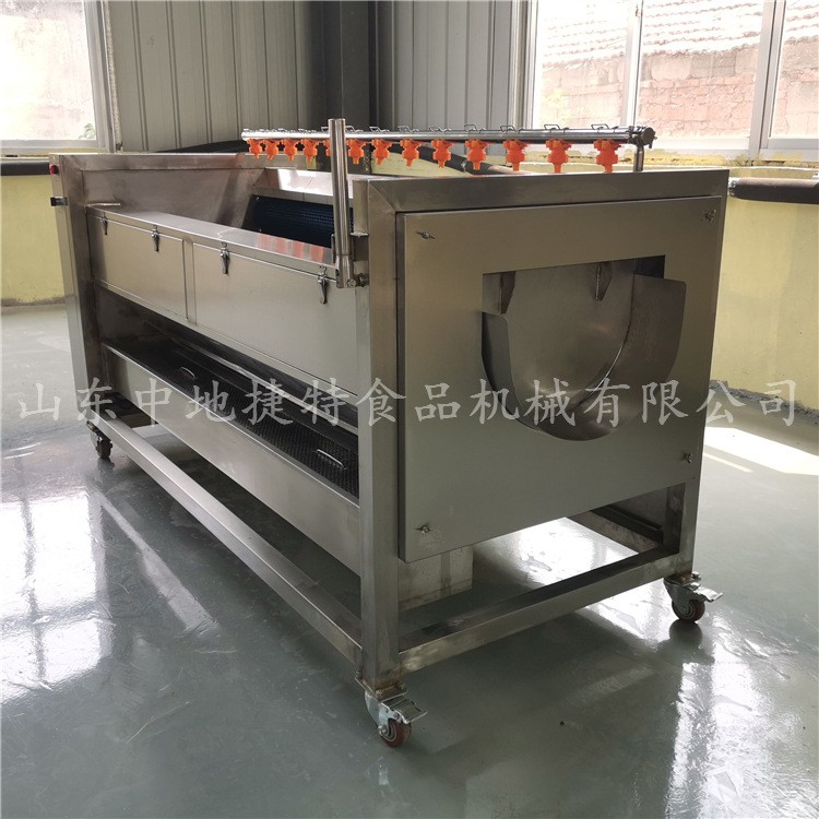 热销特卖土豆地瓜清洗设备莲藕去泥清洗加工全自动果蔬毛刷清洗机图4