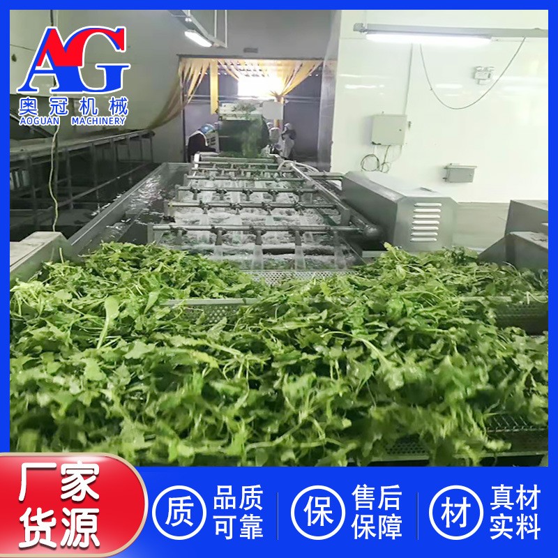洗百香果的机器 全自动气泡清洗机 水果制作成套设备 商用洗果机图2