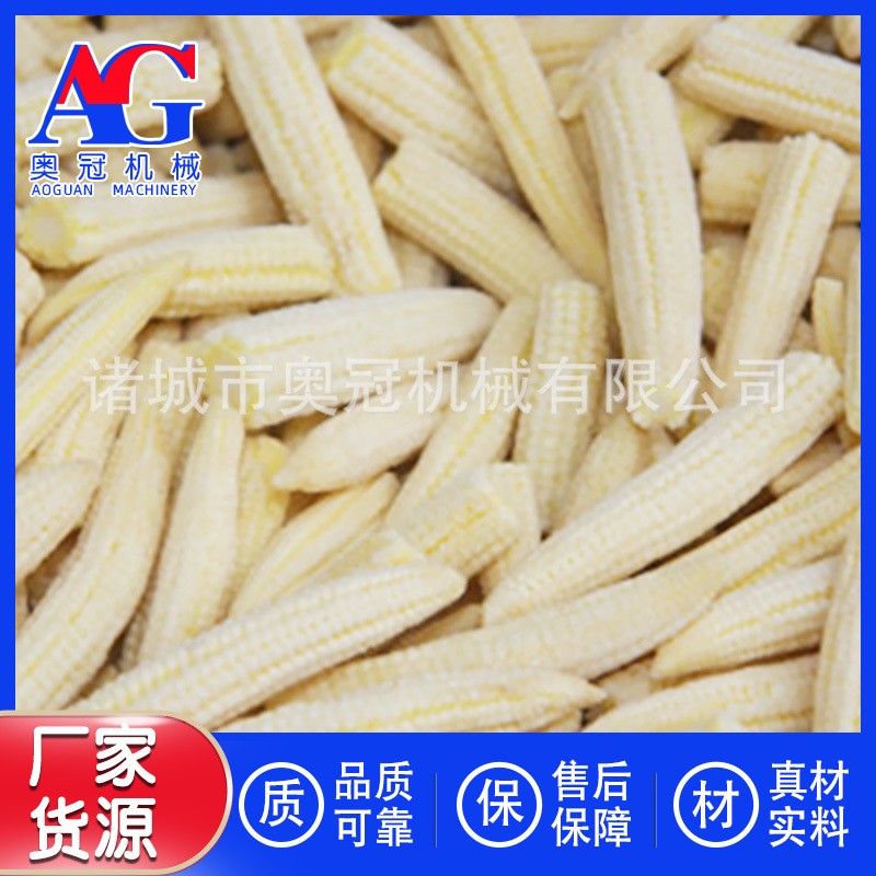 黄桃隧道式流态化速冻机 荔枝全自动速冻设备 超低温榴莲冷冻机器图3