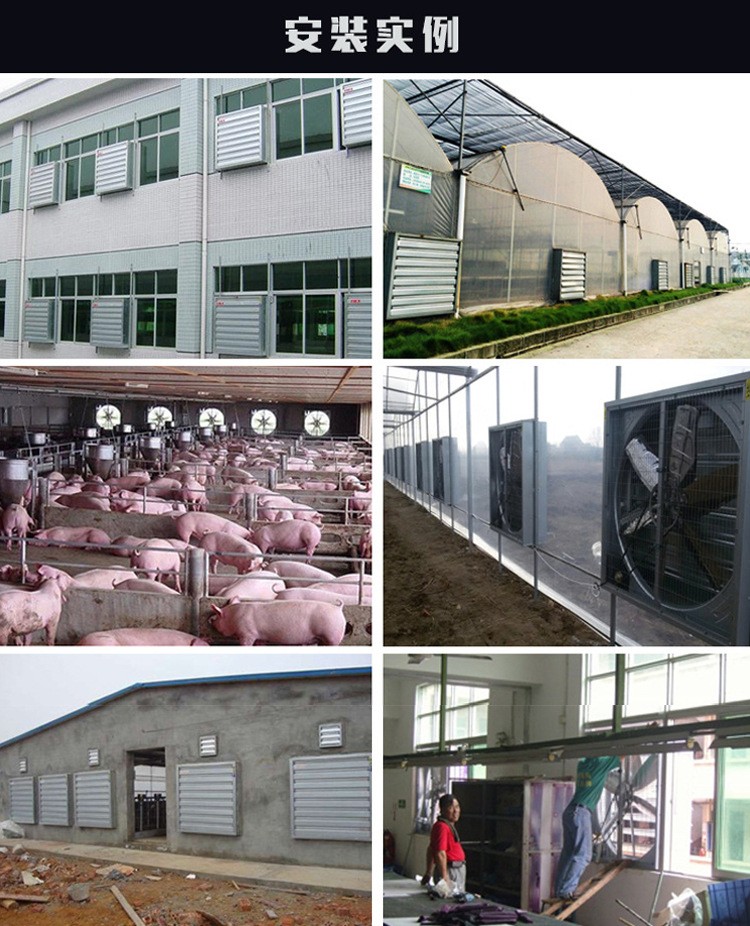 负压风机工业排风扇大功率强力畜牧排气扇换气扇大棚养殖场抽风机图5