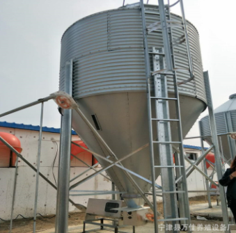 猪舍料线设备厂家批发 小型猪场育肥料线 全自动养猪场喂料线图5