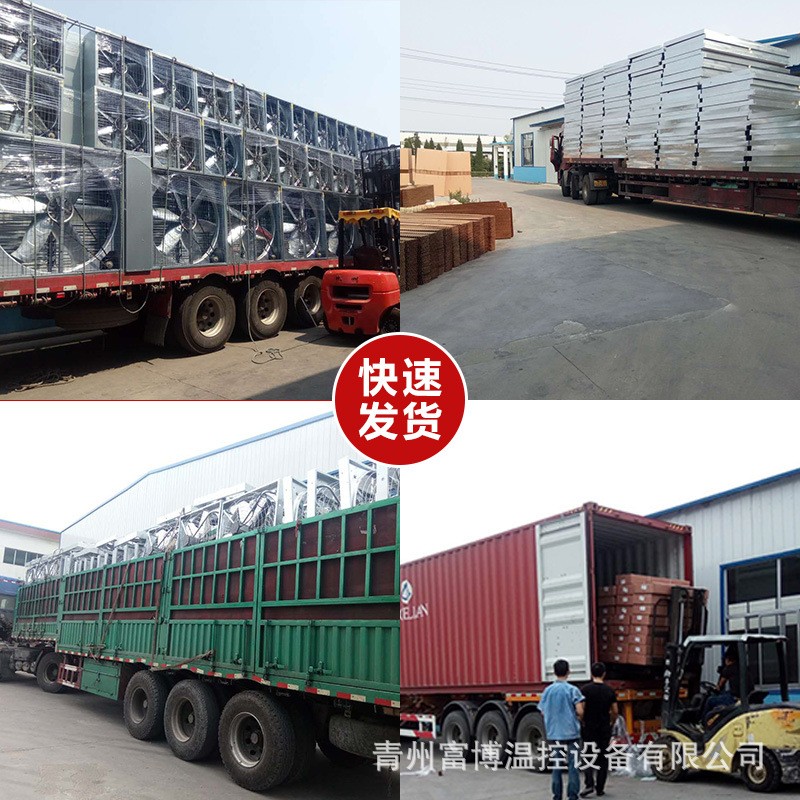 负压风机工业排气扇换气扇大风量工厂车间畜牧养殖强力排风机图4