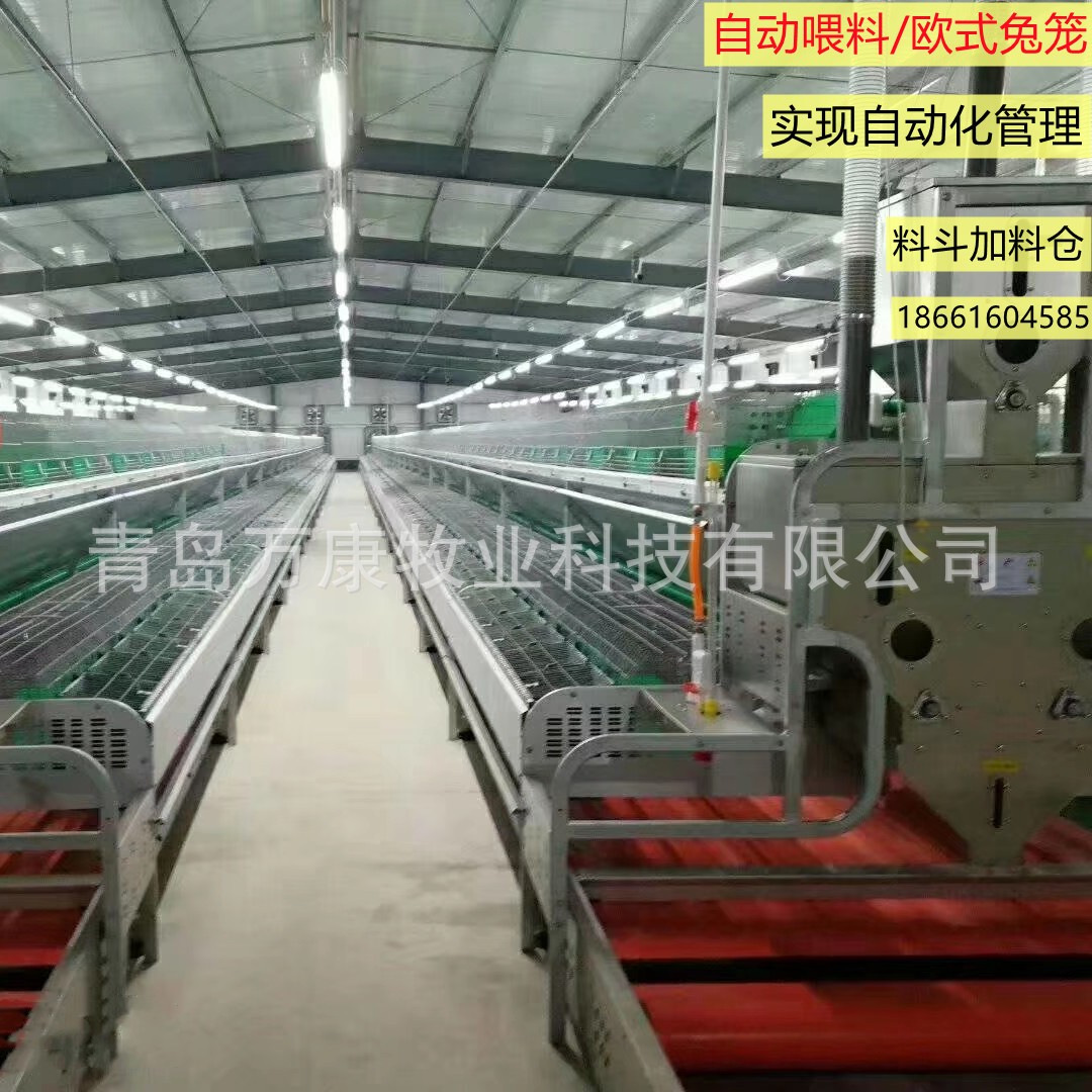 养兔子种兔设备 笼具欧式自动喂料繁育兔笼图3