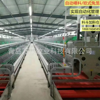 养兔子种兔设备 笼具欧式自动喂料繁育兔笼