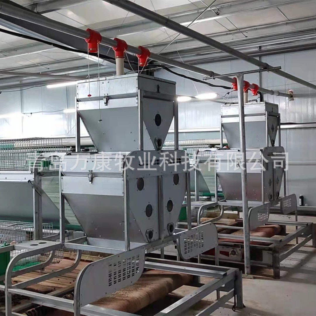 养兔子种兔设备 笼具欧式自动喂料繁育兔笼图5