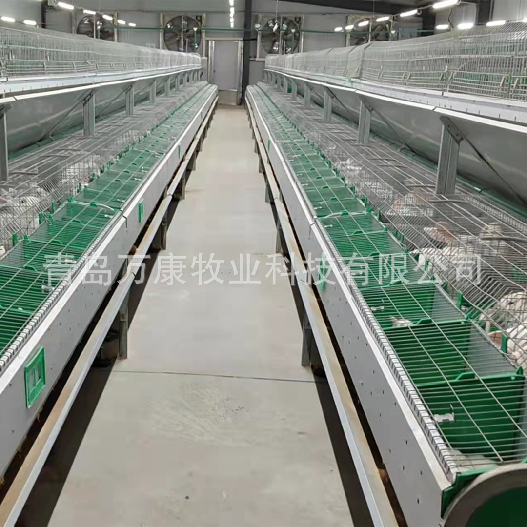 养兔子种兔设备 笼具欧式自动喂料繁育兔笼图4