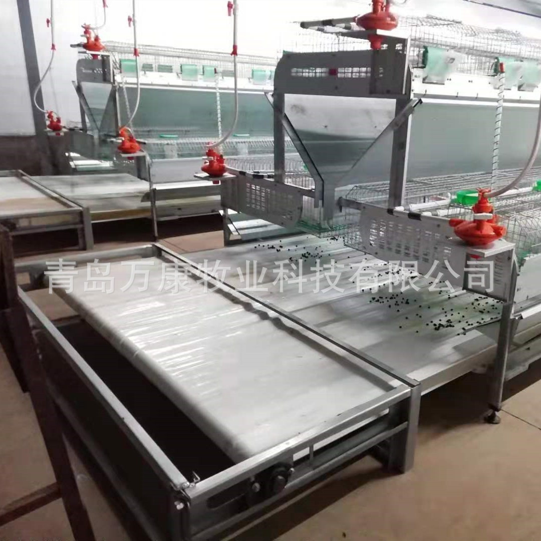 兔舍兔笼养殖笼传送带清粪设备图3