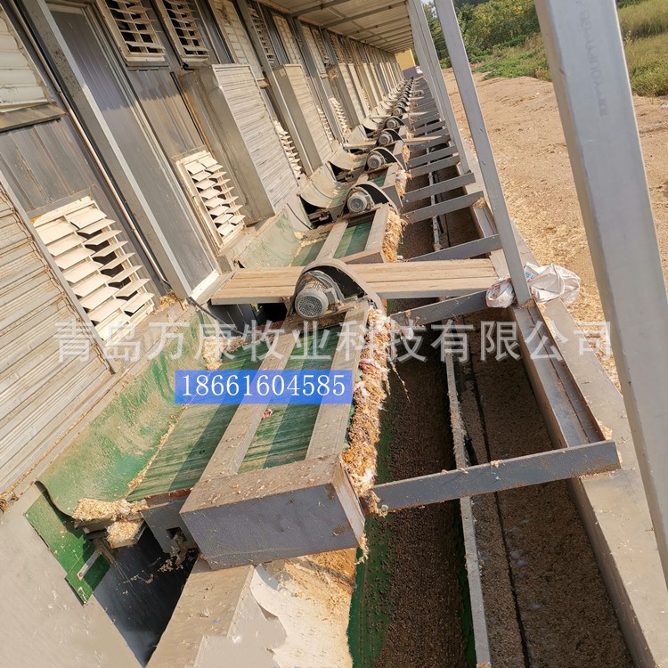 兔舍兔笼养殖笼传送带清粪设备图5