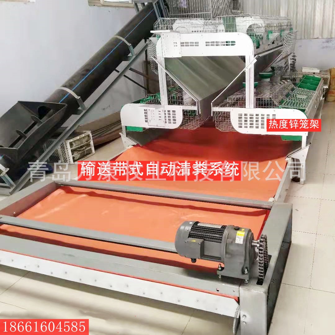 兔舍兔笼养殖笼传送带清粪设备图4