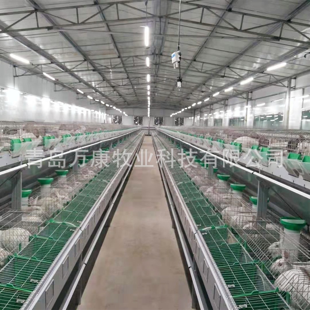 养兔子的设备兔笼 兔舍欧式双层笼具繁育一体笼图5