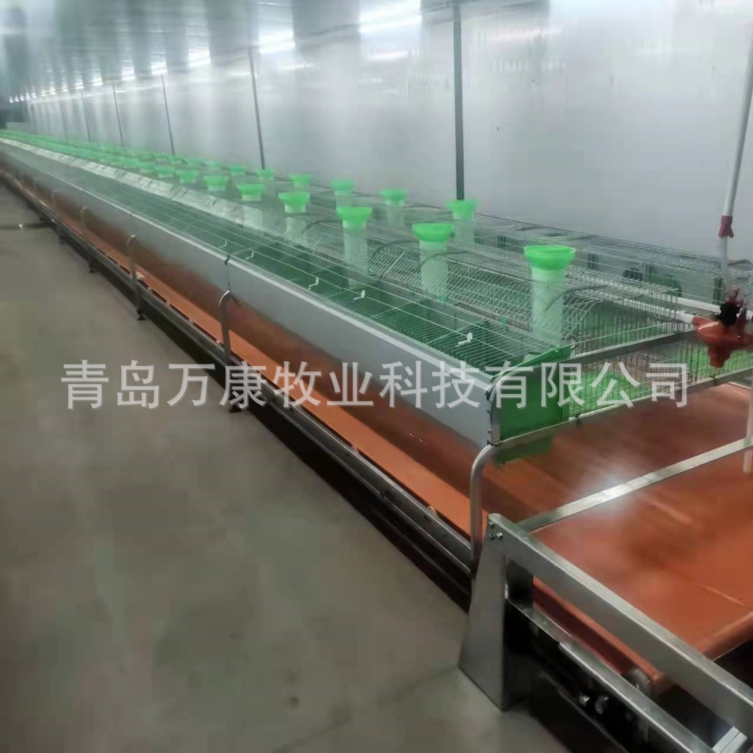 种兔繁育笼具 内置产仔箱欧式单层12位兔笼图2