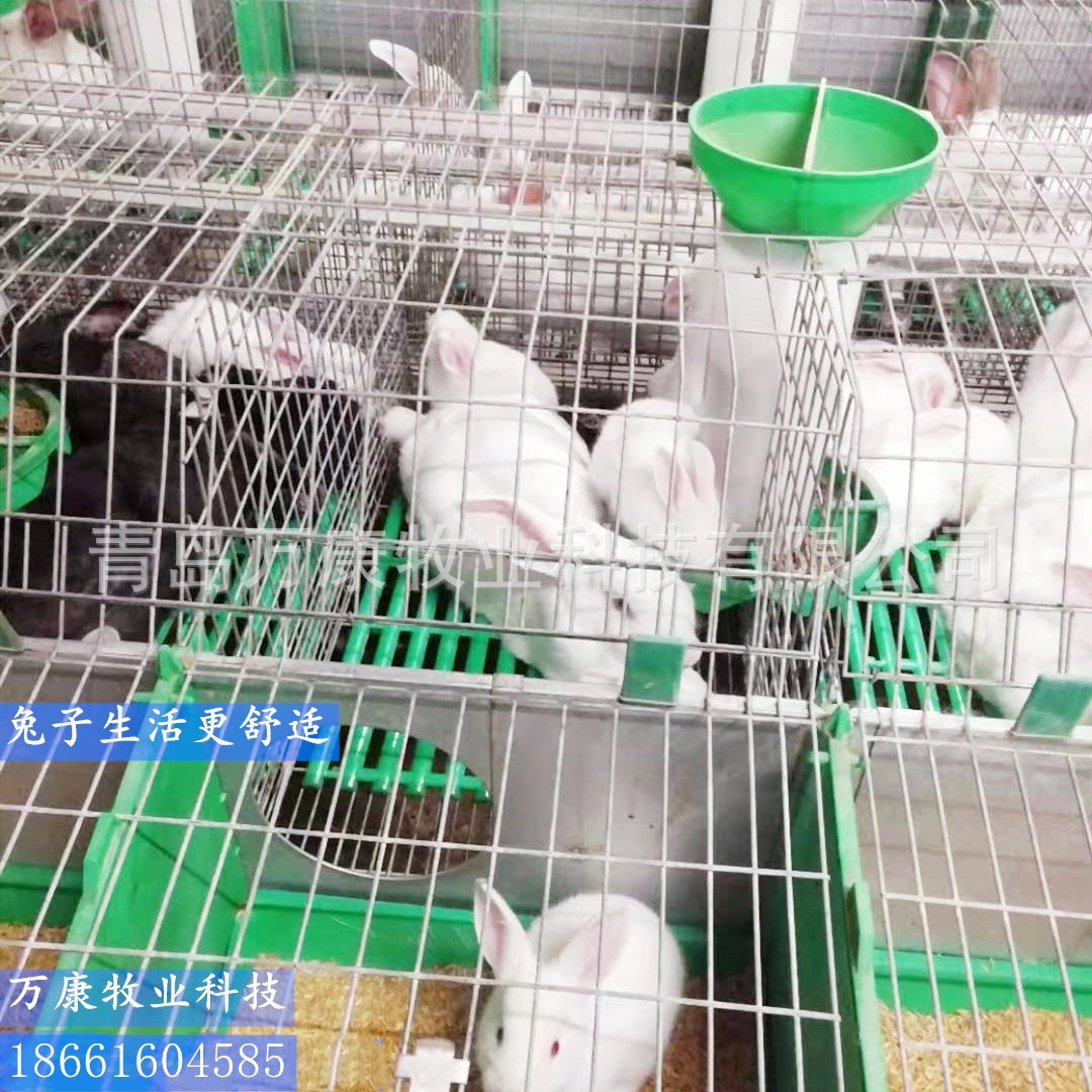 种兔繁育笼具 内置产仔箱欧式单层12位兔笼图5