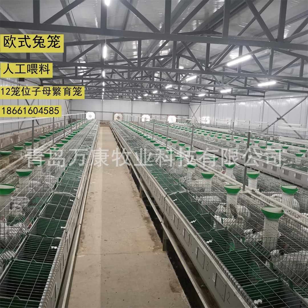 种兔繁育笼具 内置产仔箱欧式单层12位兔笼图3