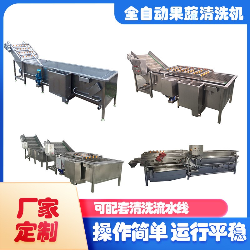 精润水果分级清洗机 杏子桃子清洗机 农业项目设备图3
