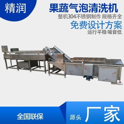 精润水果分级清洗机 杏子桃子清洗机 农业项目设备
