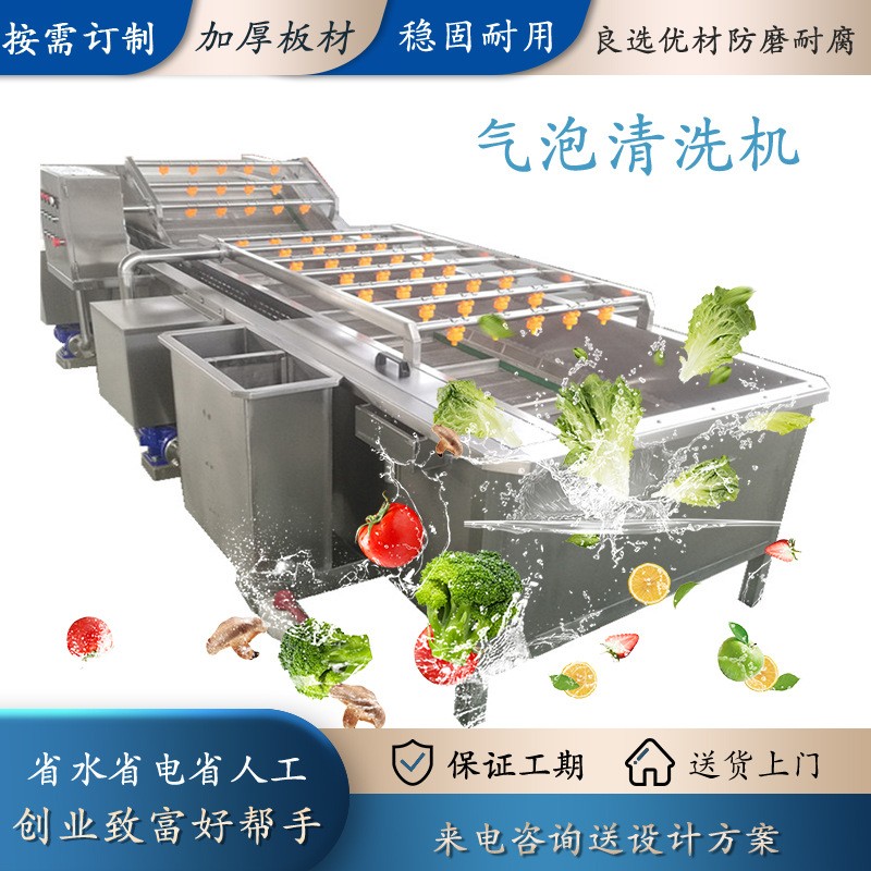 精润水果分级清洗机 杏子桃子清洗机 农业项目设备图2