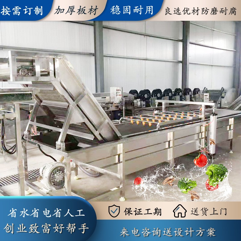 精润水果分级清洗机 杏子桃子清洗机 农业项目设备图4