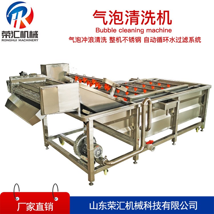 全自动喷淋式气泡清洗机 小龙虾菠菜清洗机 多功能果蔬清洗机图5