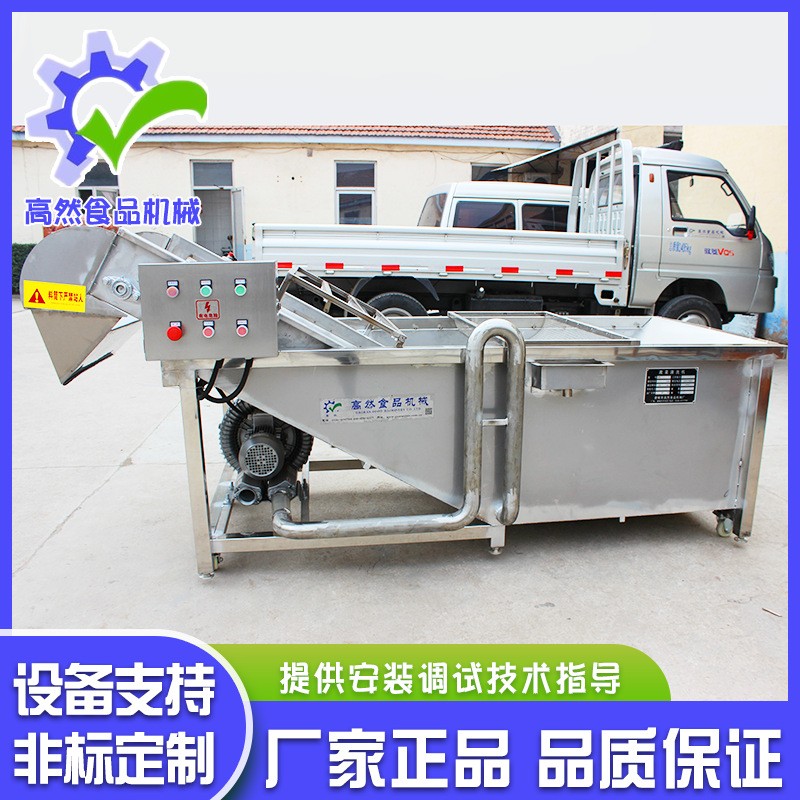 全自动喷淋式瓜果气泡清洗机 辣椒清气泡清洗机 不锈钢果蔬清洗机图2