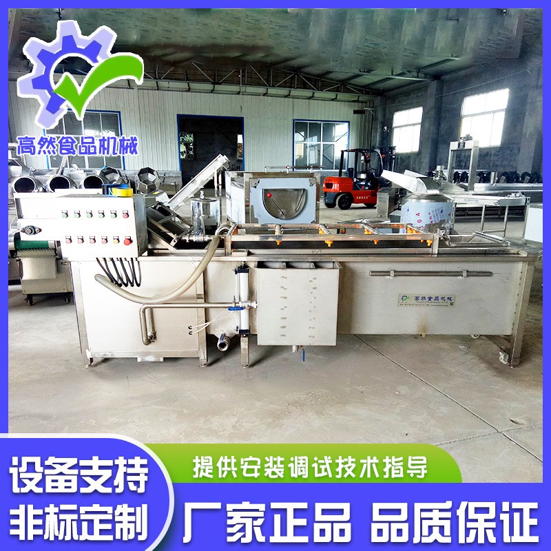 全自动喷淋式瓜果气泡清洗机 辣椒清气泡清洗机 不锈钢果蔬清洗机图3