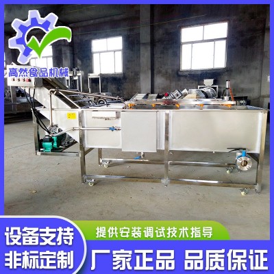 全自动喷淋式瓜果气泡清洗机 辣椒清气泡清洗机 不锈钢果蔬清洗机