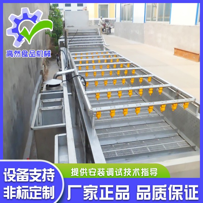 全自动喷淋式瓜果气泡清洗机 辣椒清气泡清洗机 不锈钢果蔬清洗机图5