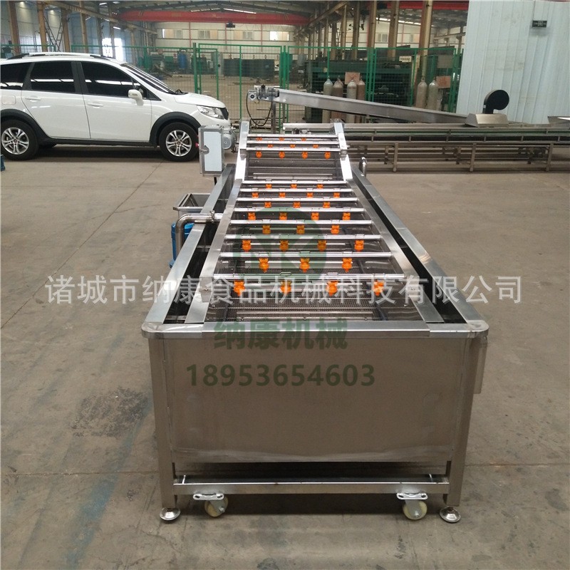 高压喷淋式气泡清洗机 商用不锈钢果蔬清洗机 大枣枸杞清洗机图2