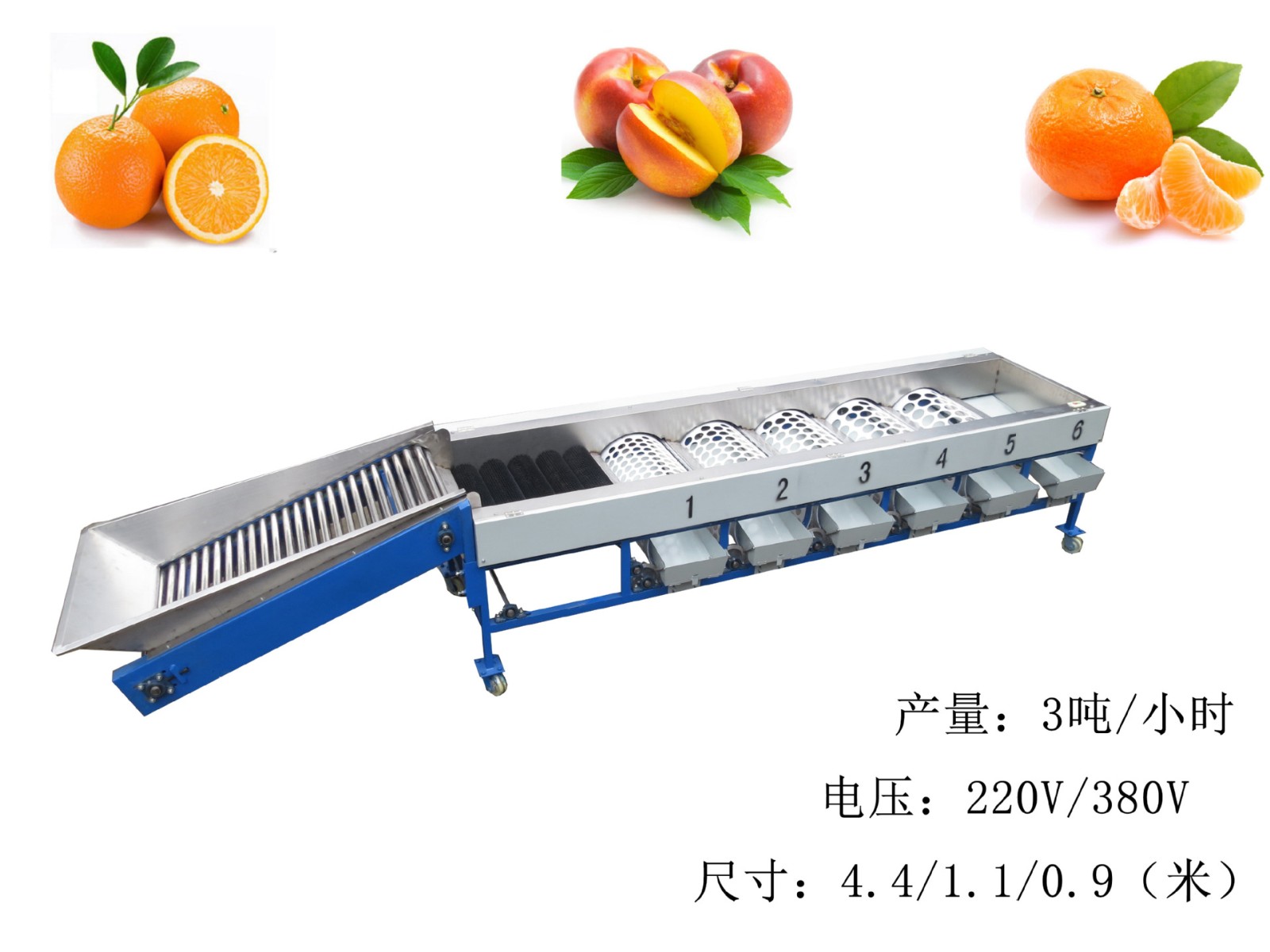 水果分级机 清洗分选机 使用方便一体机图3