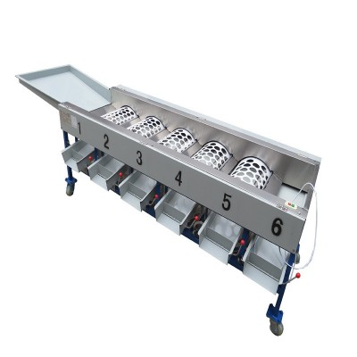 柑橘水果分级机 果蔬分选机柑桔选果机家用一体机厂家直销