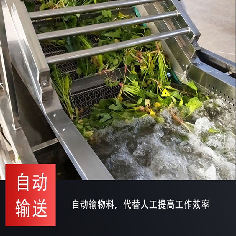 厂家供应果蔬气泡清洗机水果高压喷淋清洗设备商用海鲜蔬菜清洗机图3