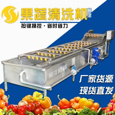 全自动果蔬气泡清洗机 喷淋式气泡清洗机 不锈钢叶菜大枣清洗线