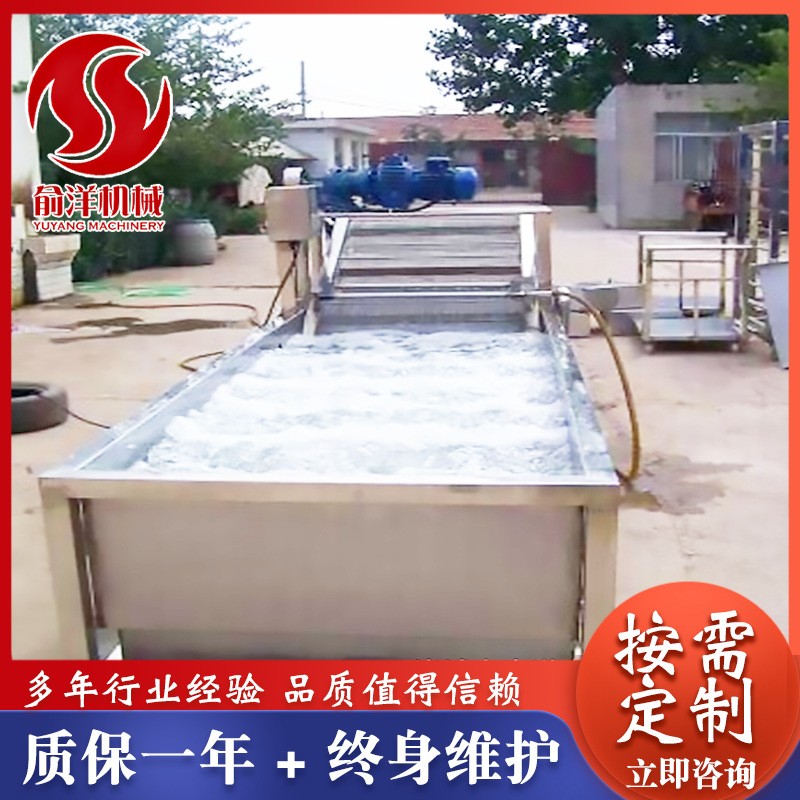 全自动果蔬气泡清洗机 喷淋式气泡清洗机 不锈钢叶菜大枣清洗线图5